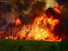 Лесной пожар. Фото с сайта www.photosight.ru