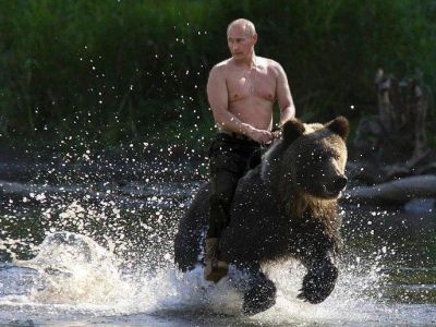 Путин с медведем. Фото: joyreactor.cc