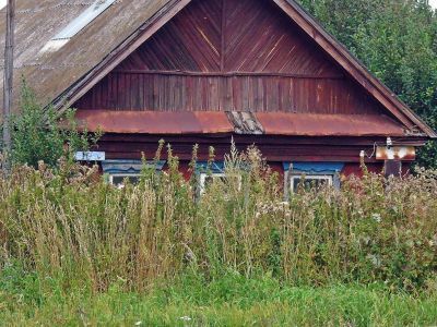 Заросший травой дом в деревне. Фото: Александр Воронин, Каспаров.Ru