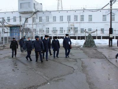 Колония "Полярная сова". Фото из открытых источников